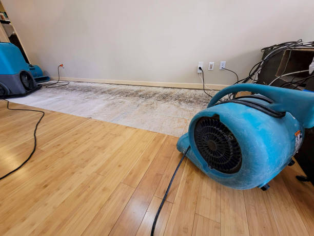Professional Flood Damage Cleanup technician working in Williamsburg, VA